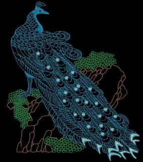 Peacock 03