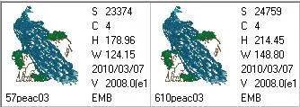 Peacock 03
